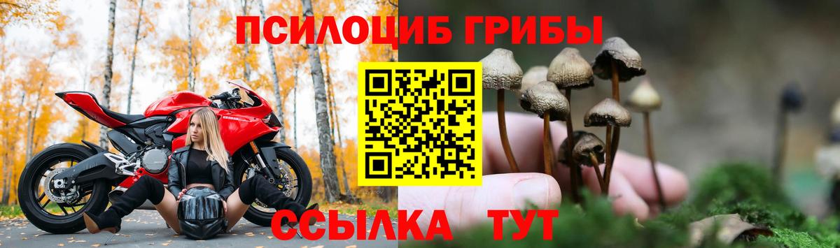 Нижневартовск  Галлюциногенные грибы Psilocybe  Вход с VPN 