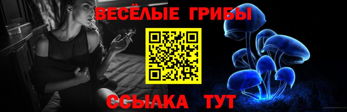 Галлюциногенные грибы Cubensis Нижневартовск